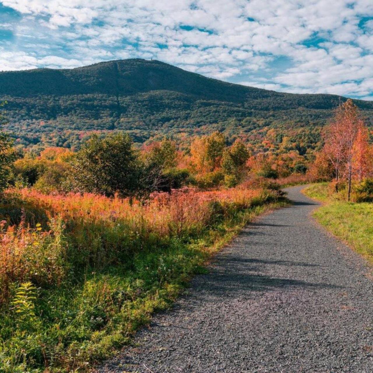 2 Bed Berkshire Getaway Minutes To Jiminy Peak Ski Hancock Zewnętrze zdjęcie